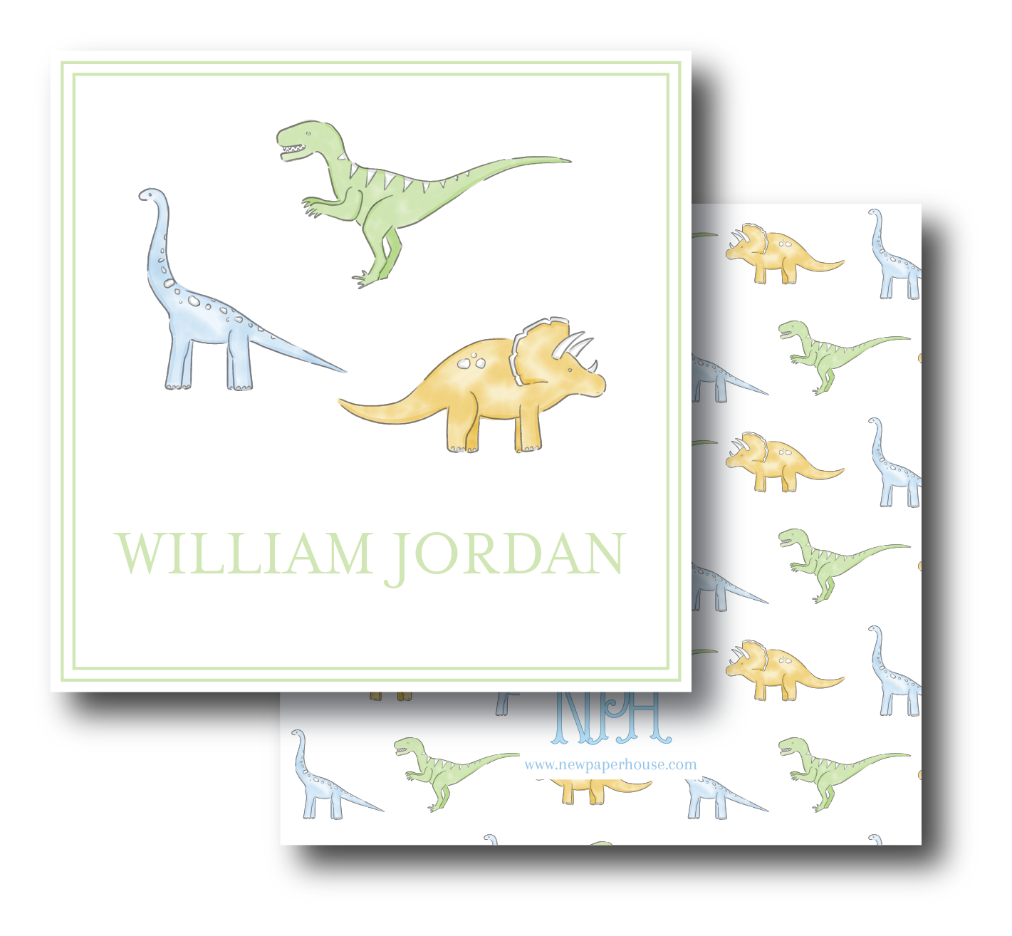 Dinosaurs Enclosure Card