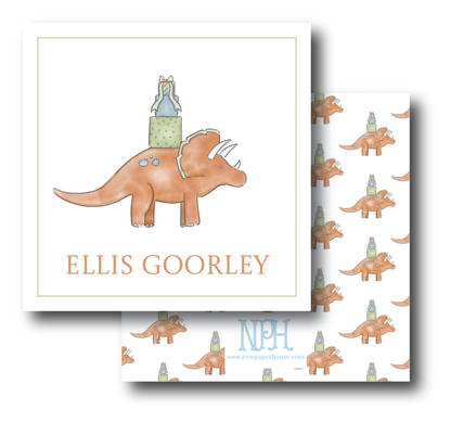 Birthday Dino Enclosure Card (3 Options)